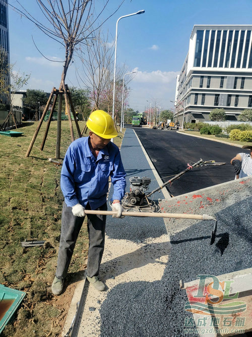 廣州地石麗官網