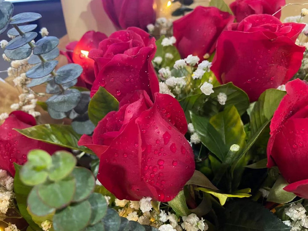 生日會(huì) 生日會(huì)