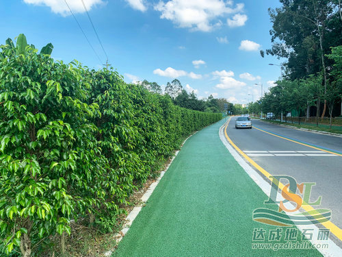 彩色透水地坪 彩色透水地坪