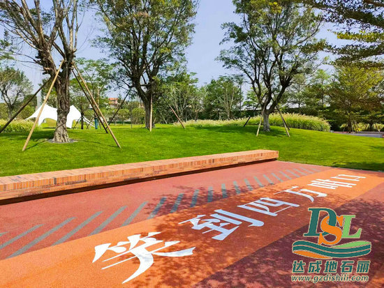 1721889467214293.jpg 彩色冷鋪瀝青廠家-廣州地石麗