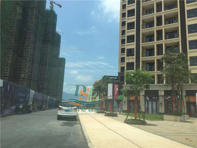 肇慶海倫堡壓花地坪項目 肇慶海倫堡壓花地坪項目