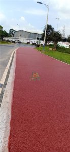 增城仙村仙基農(nóng)業(yè)荔枝小鎮(zhèn)透水地坪項(xiàng)目 增城仙村仙基農(nóng)業(yè)荔枝小鎮(zhèn)透水地坪項(xiàng)目