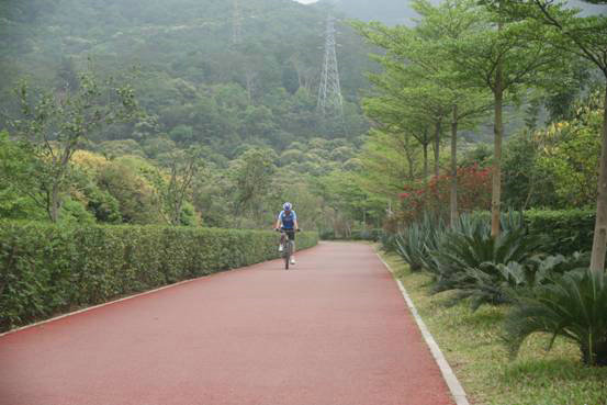 鳳凰山透水地坪.jpg 鳳凰山.jpg