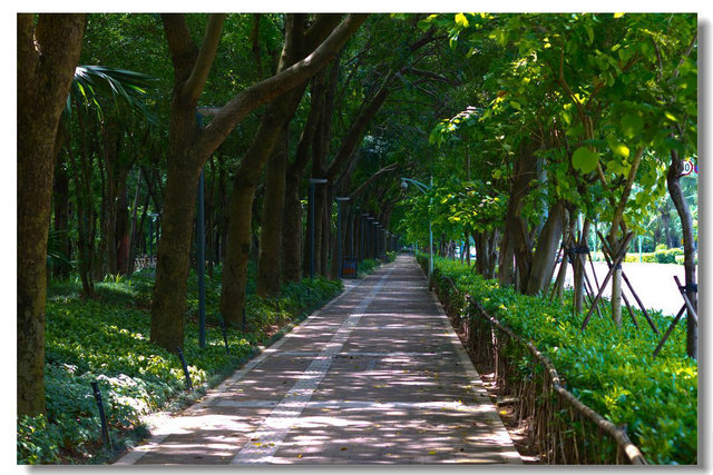 福榮都市綠道透水地坪.jpg 福榮都市綠道.jpg