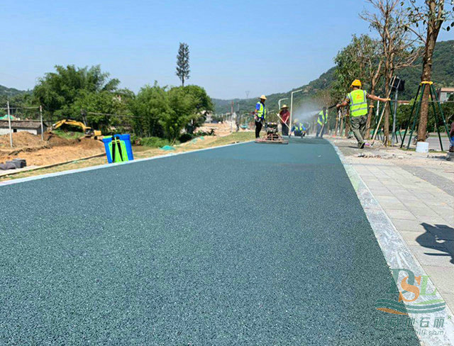 廣州地石麗公司