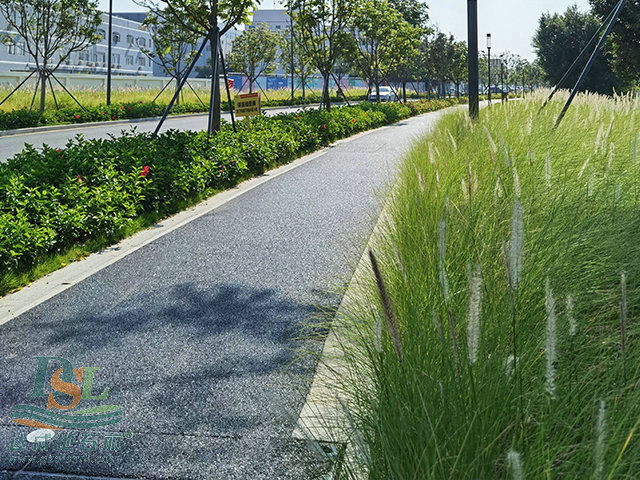 透水混凝土 3.jpg