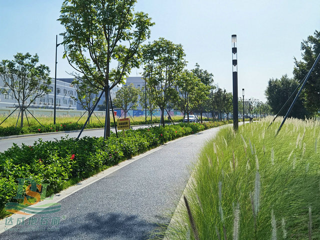 透水瀝青 113.jpg