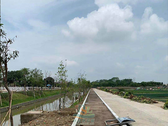 1620984427944749.jpg 東莞石碣梁家村6+4蘭色透水 (1).jpg