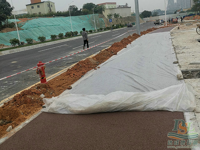 透水混凝土 番禺金光西大道項(xiàng)目 (4).jpg