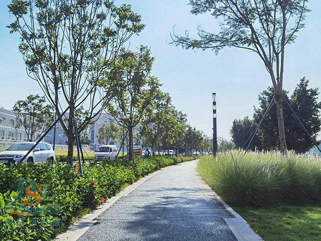 深圳茅洲河碧道透水混凝土項目完工 深圳茅洲河碧道透水混凝土項目完工