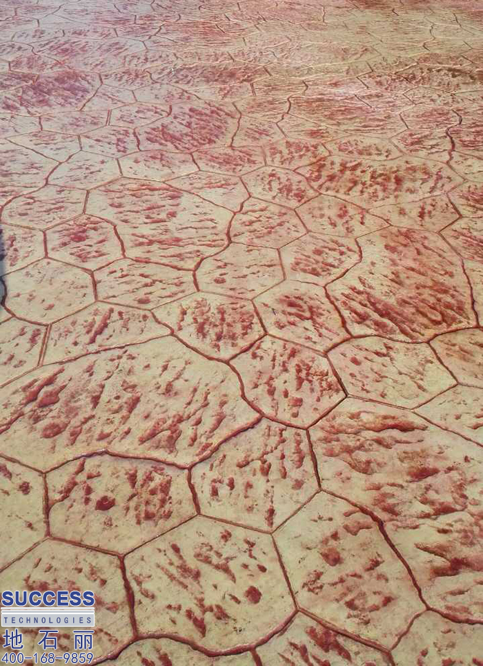 清遠嶺南職業(yè)學院花彩石壓花地坪