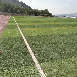 人造草坪系統(tǒng) 人造草坪系統(tǒng)