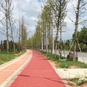 惠州金裕星河丹堤彩色透水地坪 惠州金裕星河丹堤彩色透水地坪